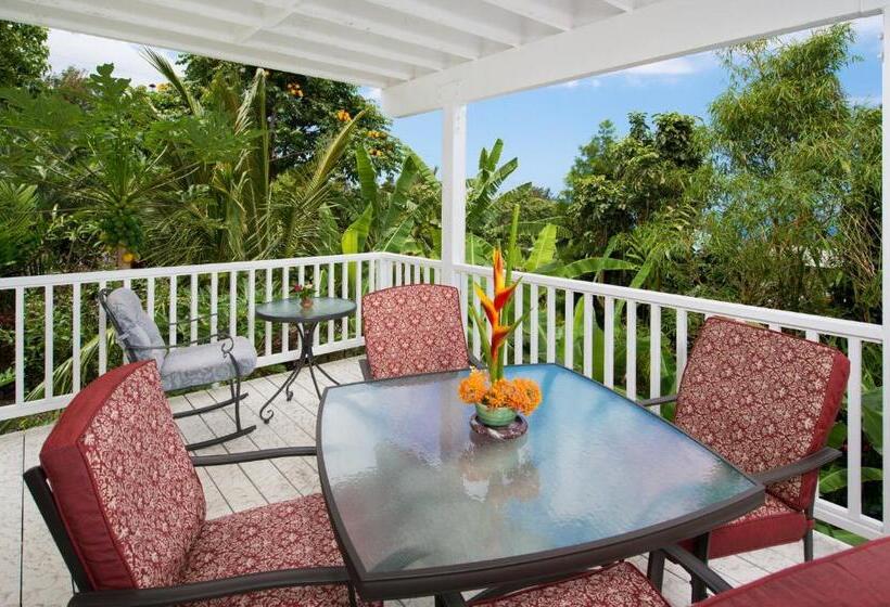 ペンション Bears Place Guest House