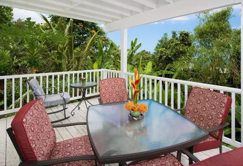 Majatalo Bears  Place Guest House