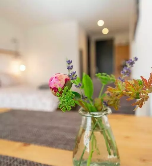 Majatalo Johanneshoeve   De Mooiste Plek Op Texel