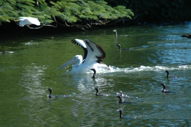 Alexander Lakeside Bed & Breakfast