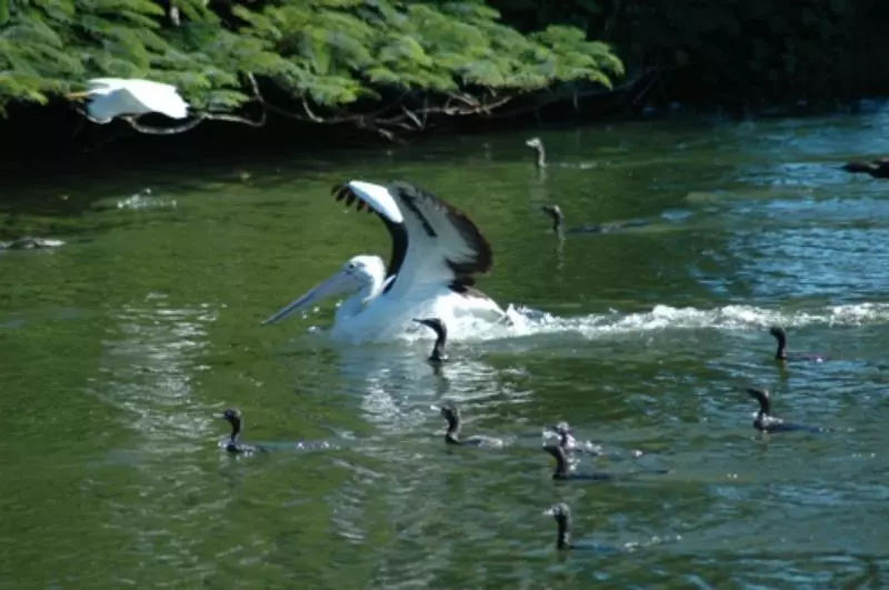 Alexander Lakeside Bed & Breakfast