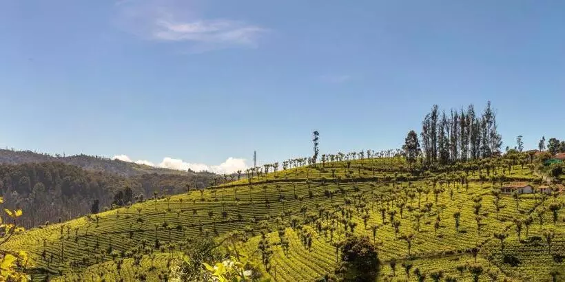 Hotell Club Mahindra Derby Green, Ooty