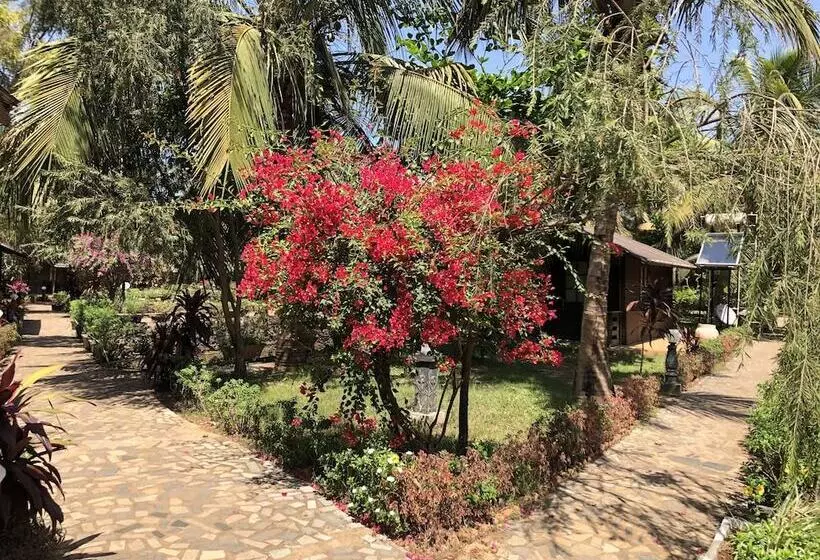 هتل Resort Primo Bom Terra Verde