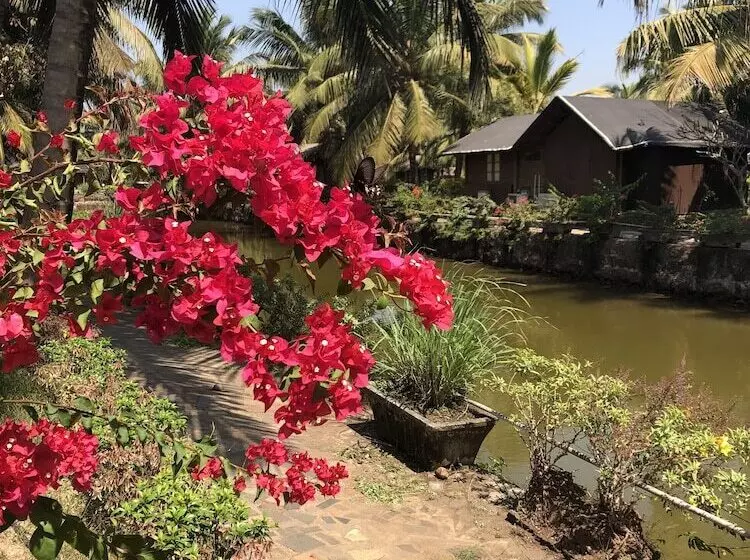 هتل Resort Primo Bom Terra Verde