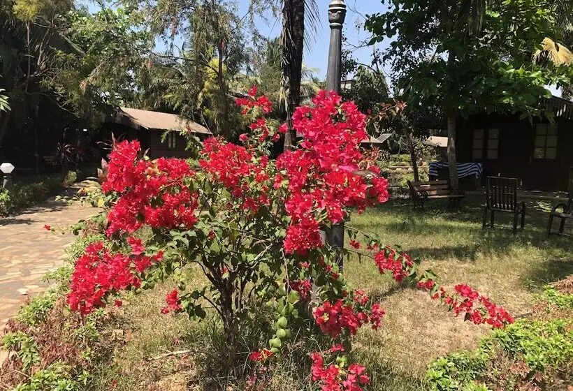 هتل Resort Primo Bom Terra Verde