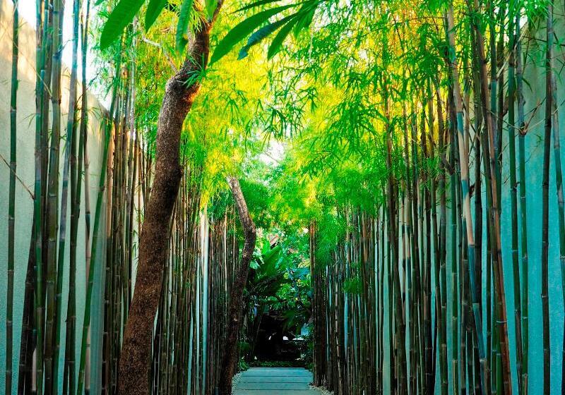 בית מלון כפרי The Amala Boutique Retreat