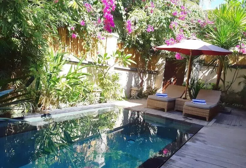 בית מלון כפרי The Beach House Resort