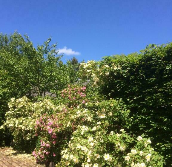 צימר De Ma Fenetre