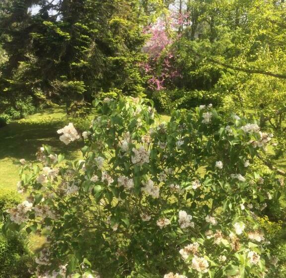 צימר De Ma Fenetre