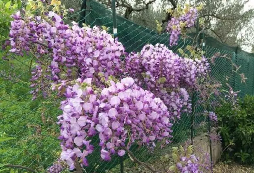 ベッドアンドブレックファースト San Casciano