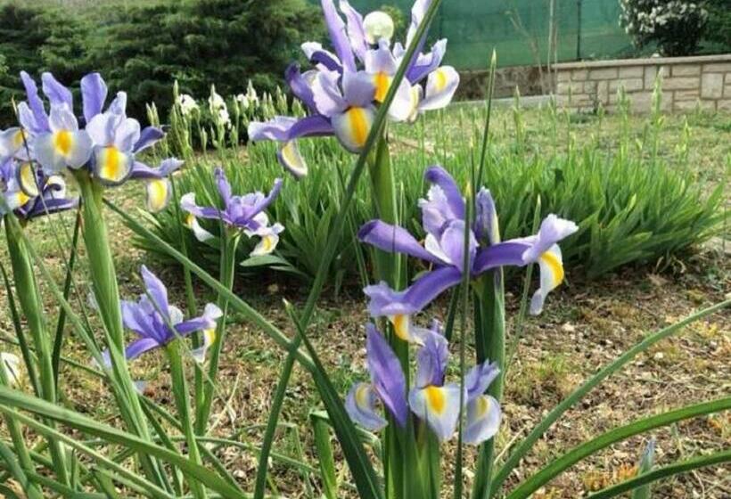 تختخواب و صبحانه San Casciano