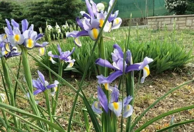 ベッドアンドブレックファースト San Casciano