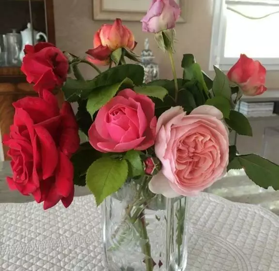 Majatalo La Roseraie Résidence Près De Vichy