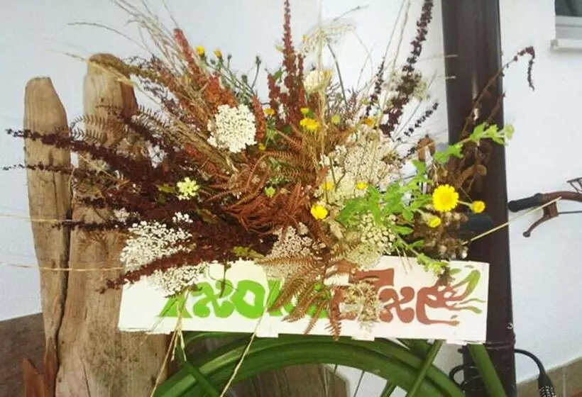 هاستل Casa Rural Txokoetxe