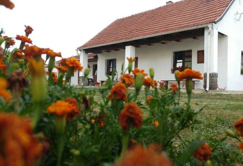 펜션 Oncsa Vendégház