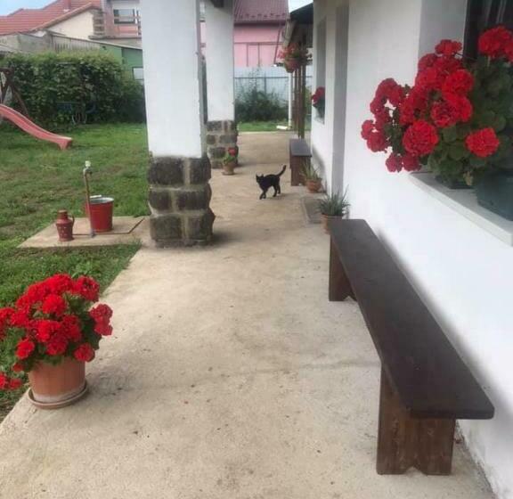 펜션 Oncsa Vendégház