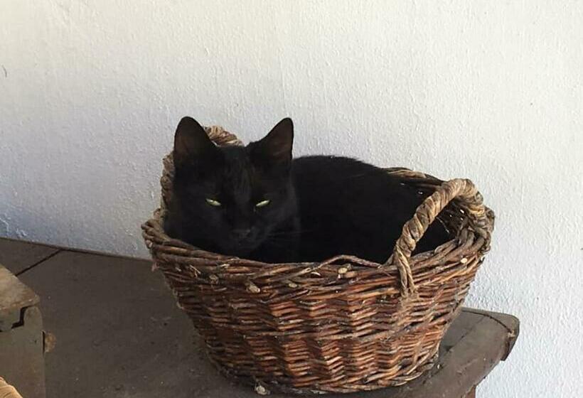 펜션 Oncsa Vendégház