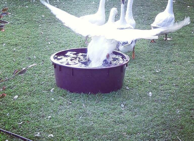 ベッドアンドブレックファースト Alle Zagare