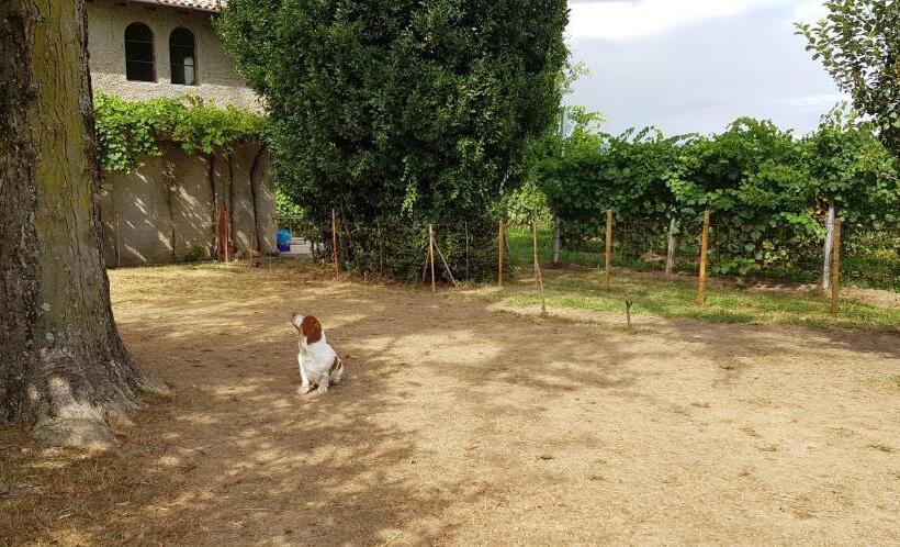 ベッドアンドブレックファースト Alle Zagare