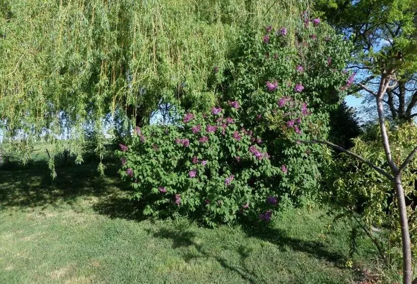 تختخواب و صبحانه Bienvenue à L Andruère
