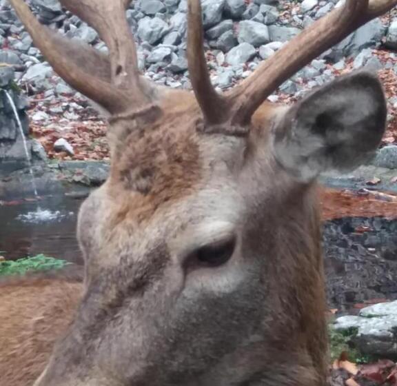 צימר Ca  Moretti