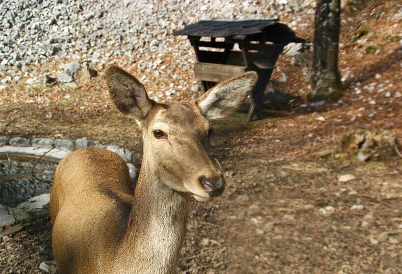 צימר Ca  Moretti