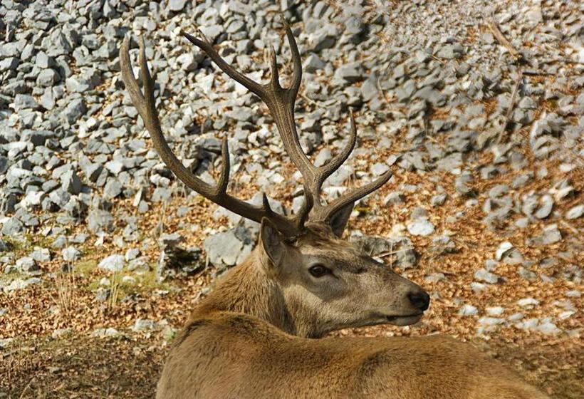 צימר Ca  Moretti