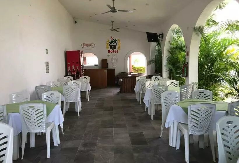 ホテル Sky & Palms