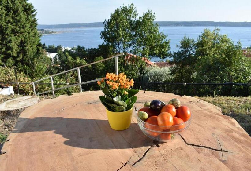 پانسیون Appa Apartments