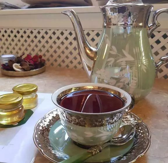 ペンション Villa Vodicka