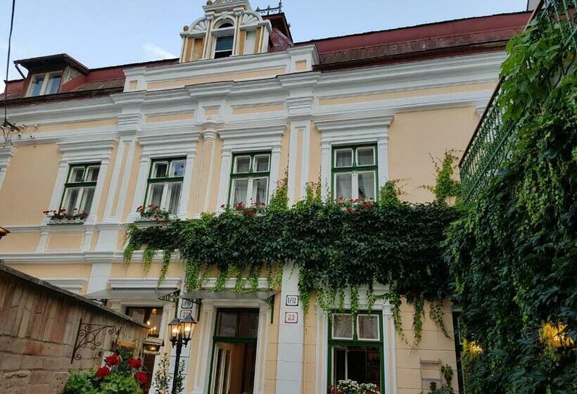 펜션 Villa Vodicka