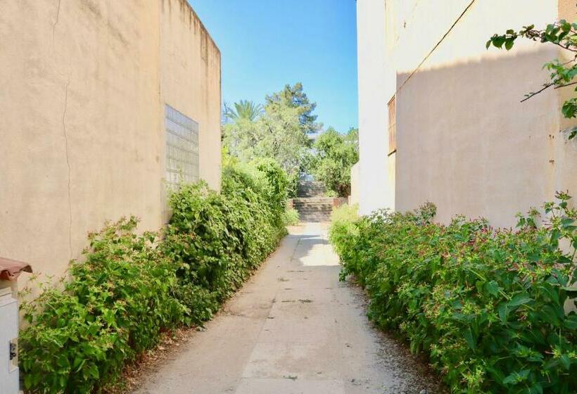 ベッドアンドブレックファースト Il Profumo Di Ginestre