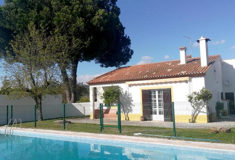 호텔 Country Club   Sto Estevao