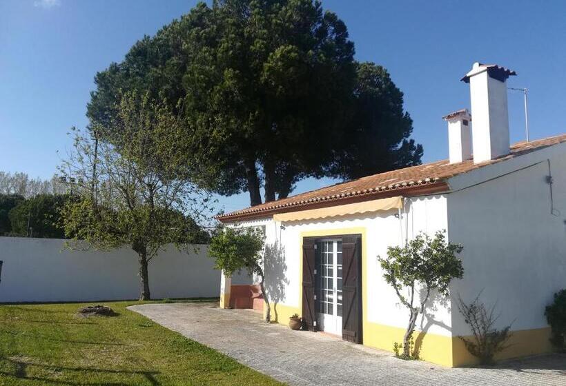 호텔 Country Club   Sto Estevao