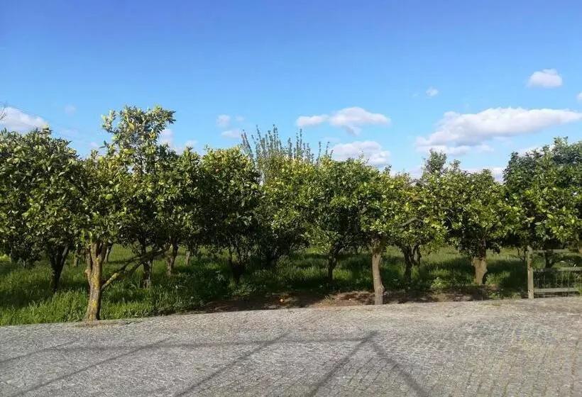 Hotelli Country Club   Sto Estevao