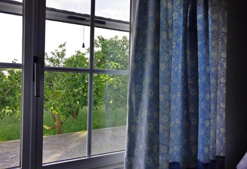 호텔 Country Club   Sto Estevao