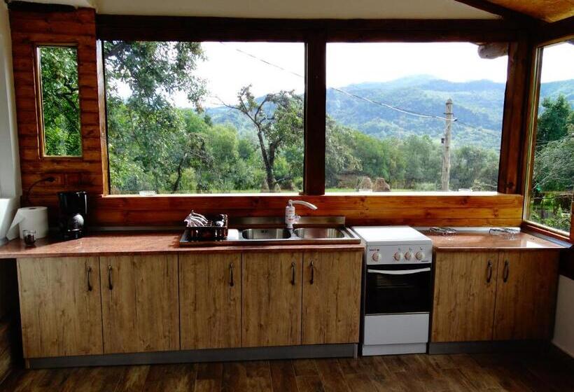 پانسیون Casa Veche Corbeni