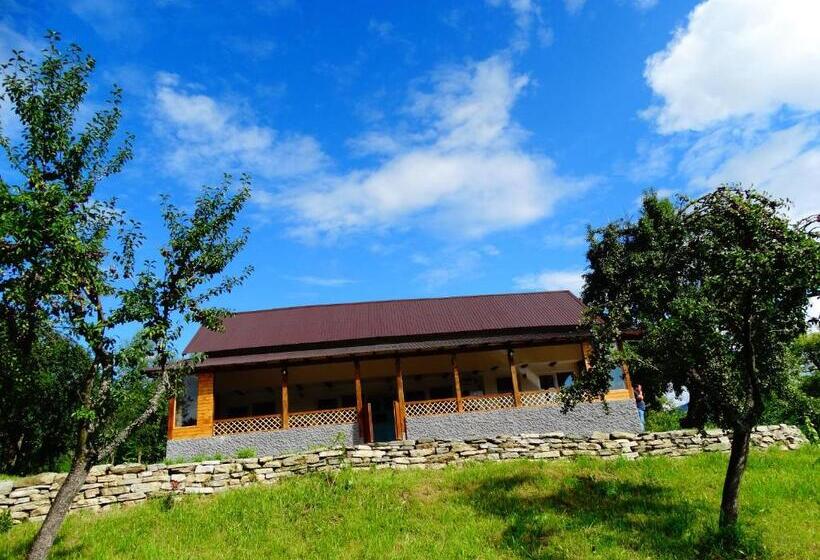 پانسیون Casa Veche Corbeni