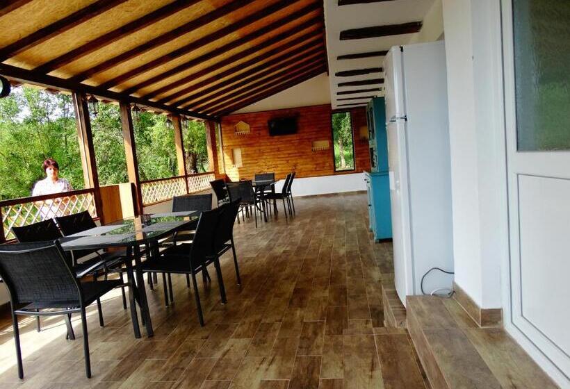 پانسیون Casa Veche Corbeni