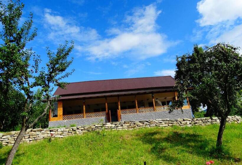 پانسیون Casa Veche Corbeni