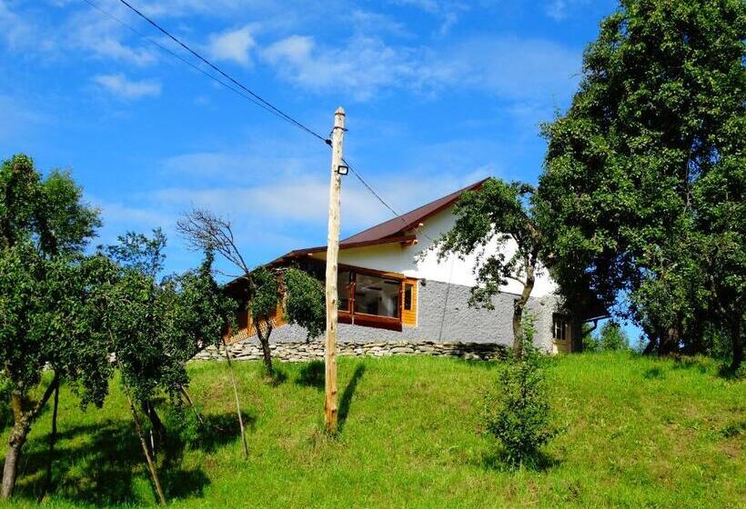 پانسیون Casa Veche Corbeni