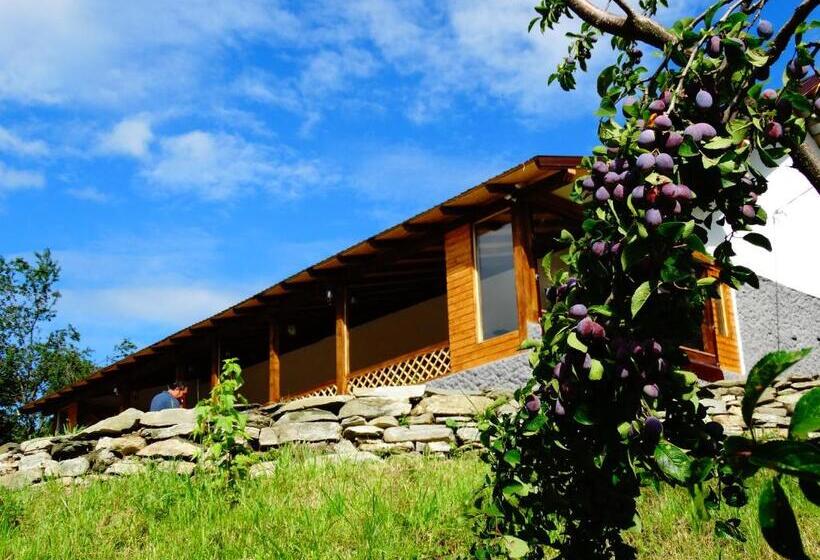 پانسیون Casa Veche Corbeni