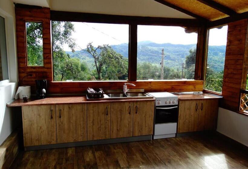 پانسیون Casa Veche Corbeni