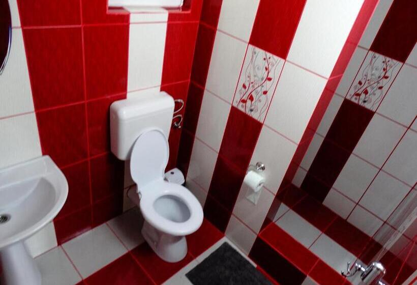 پانسیون Casa Veche Corbeni