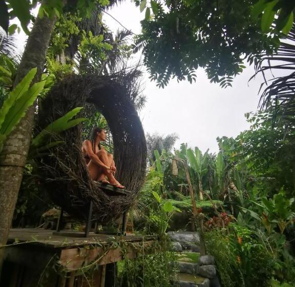 Pensió Mirah Guest House