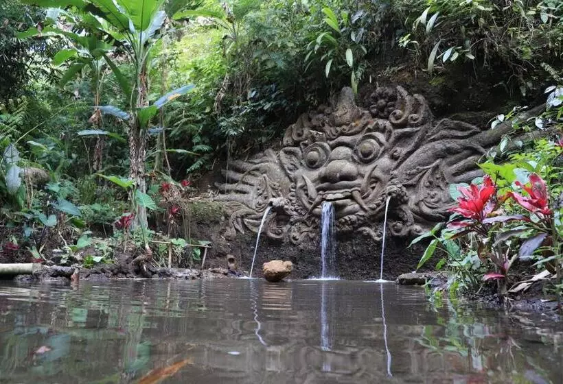 Majatalo Mirah Guest House