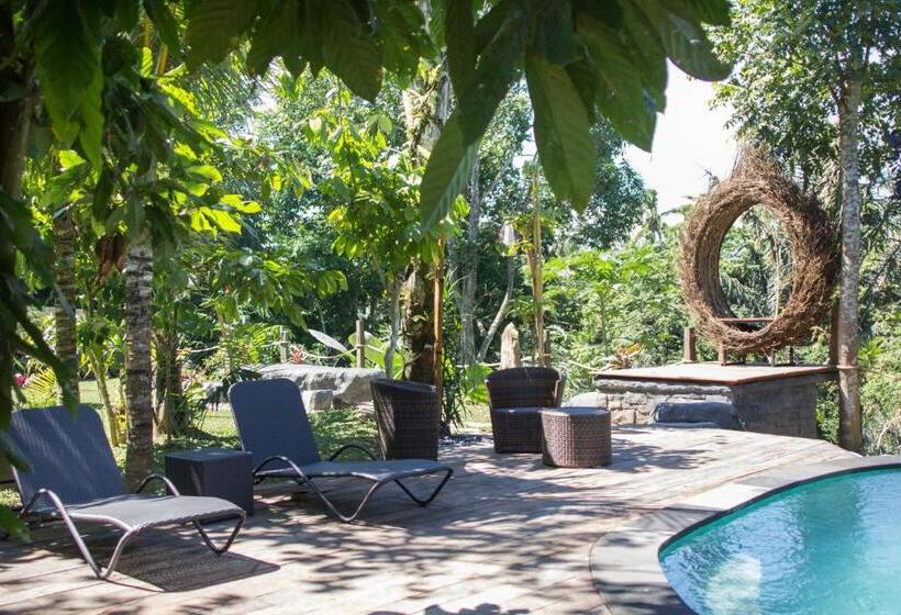 Pensió Mirah Guest House