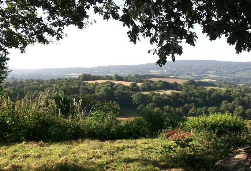 Bed and Breakfast Maison Jonela