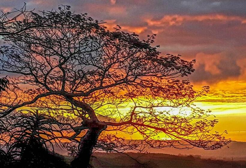 צימר Mtunzini Bnb