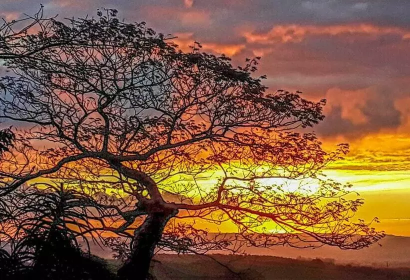 Aamiaismajoitus (B&B) Mtunzini Bnb